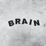 background of brain inscription on rugged wall